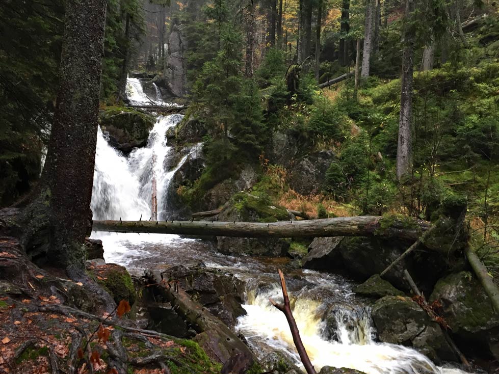Bodenmais mit Kindern Wanderung-Rissloch-Wasserfälle-mit-Kindern