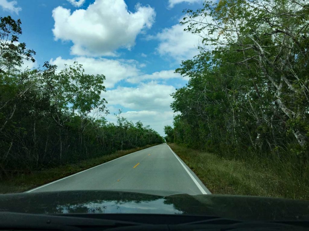 Florida Rundreise mit Kindern (2 Wochen) florida-Everglades-Loop-road-mit-kindern