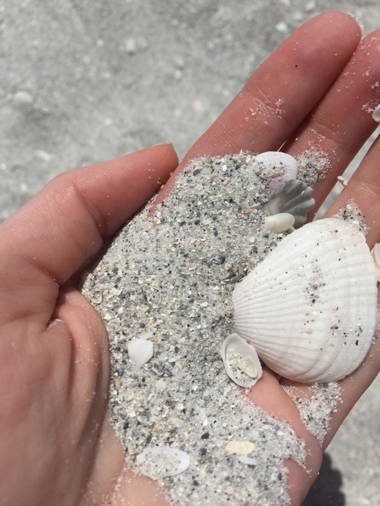 Muscheln-Sand-Sanibel-Island-florida-roadtrip-mit-kindern-familienreisen