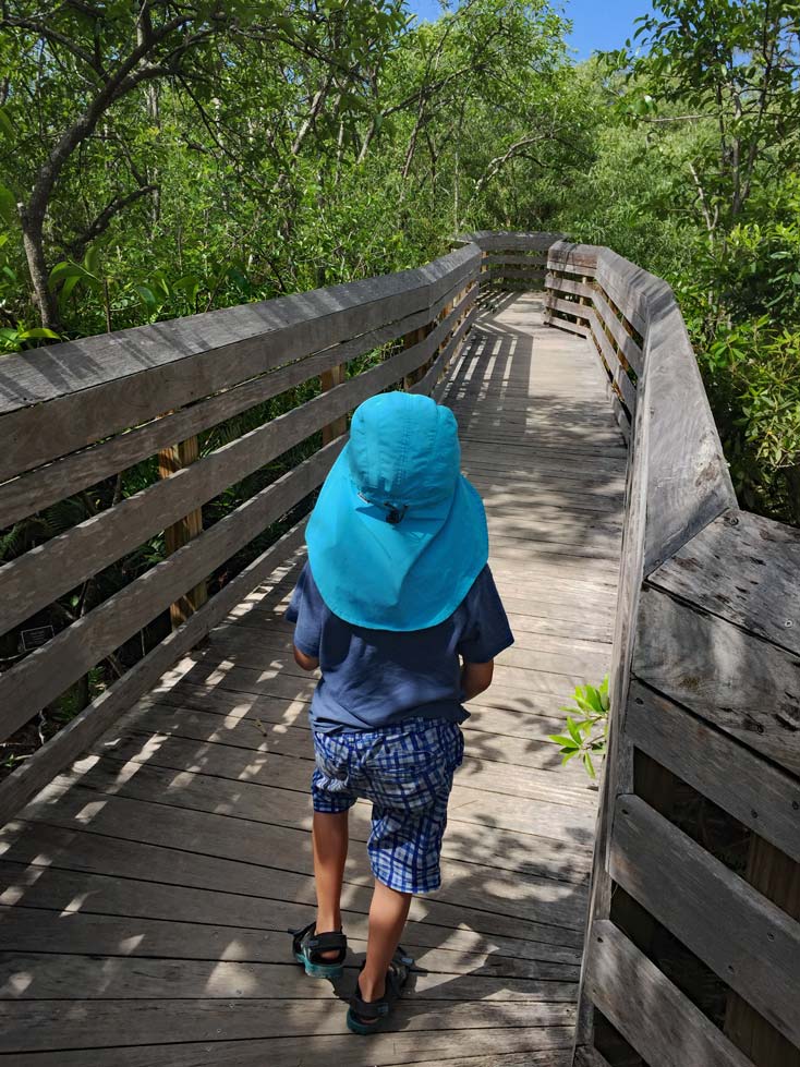 Route Florida - 2 Wochen Roadtrip mit Kindern Naples-Botanical-Gardens-mit-kindern-florida-rundreise-tipps