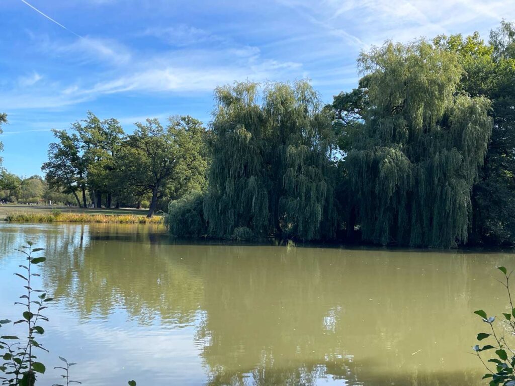 See im Park Schönbusch Aschaffenburg