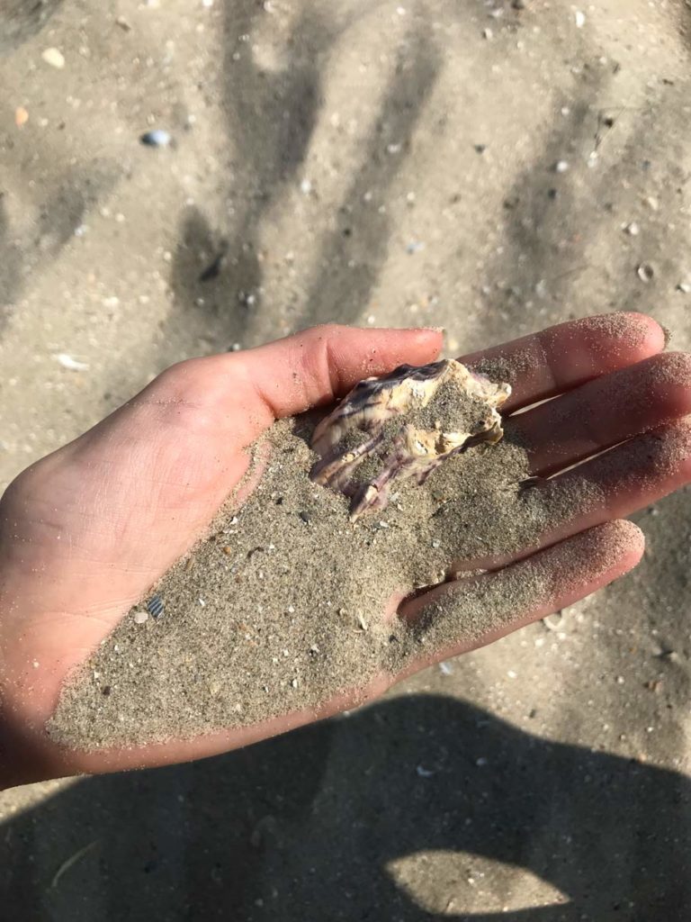 Sandstrand-Belgien-Nordsee-mit-Kindern