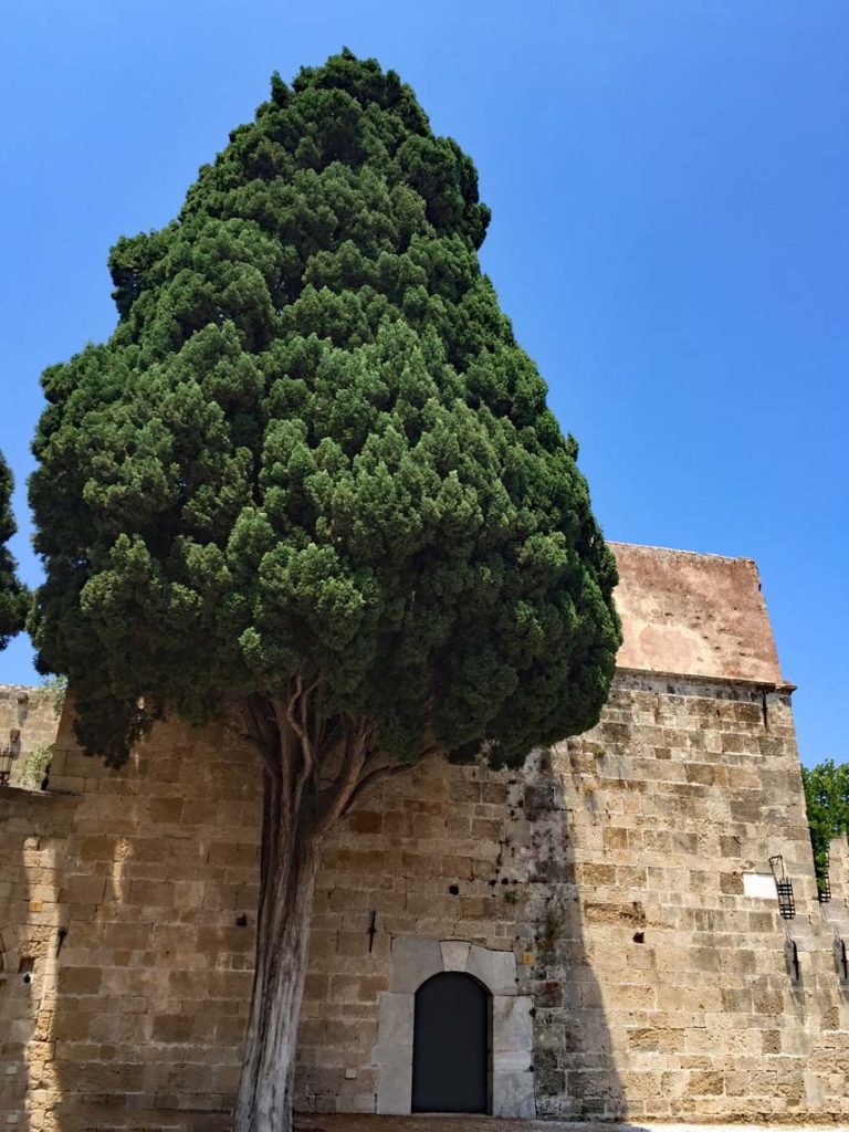 Rhodos mit Kindern - Unsere griechische Lieblingsinsel mit dem Mietwagen erkundet Rhodos-Stadt-Strandfamilie