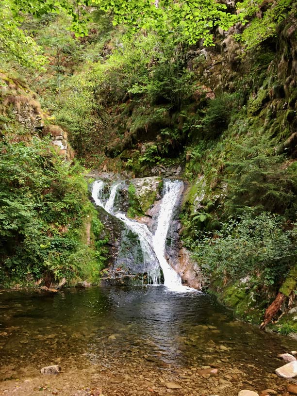 schoenste-wasserfaelle-schwarzwald-allerheiligen-wasserfaelle-familienurlaub-baiersbronn