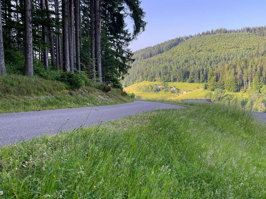 Familienurlaub im Schwarzwald: Unsere Erfahrungen im Hotel Traube Tonbach in Baiersbronn weg-zur-wanderhütte-im-schwarzwald-hotel-traube-tonbach