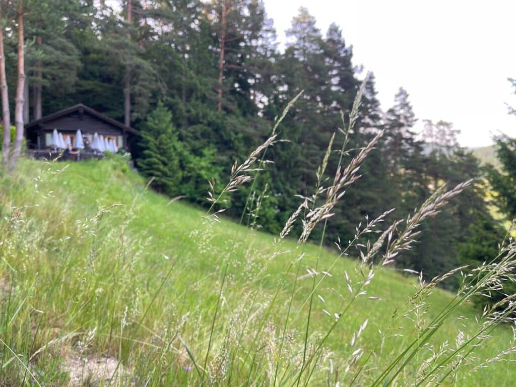 Familienurlaub im Schwarzwald: Unsere Erfahrungen im Hotel Traube Tonbach in Baiersbronn wiese-im-schwarzwald-mit-wanderhuette