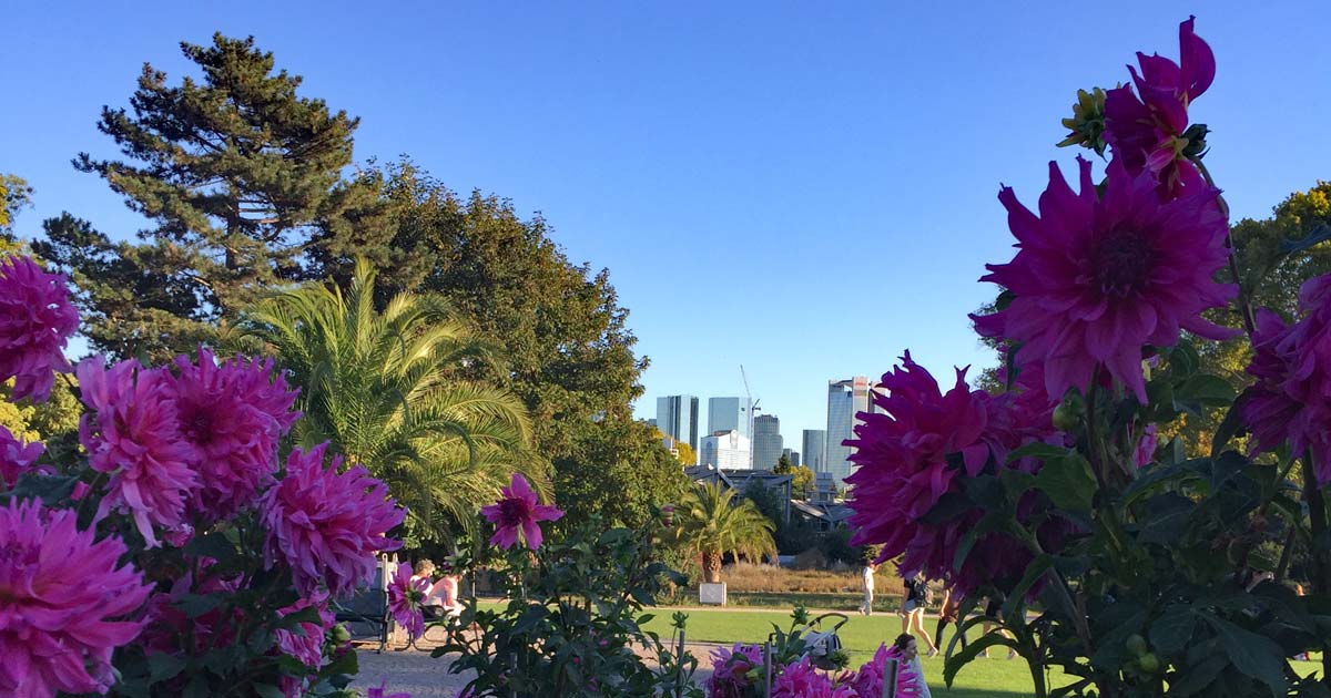 Du betrachtest gerade Palmengarten Frankfurt – Wüste und Tropen in der Stadt