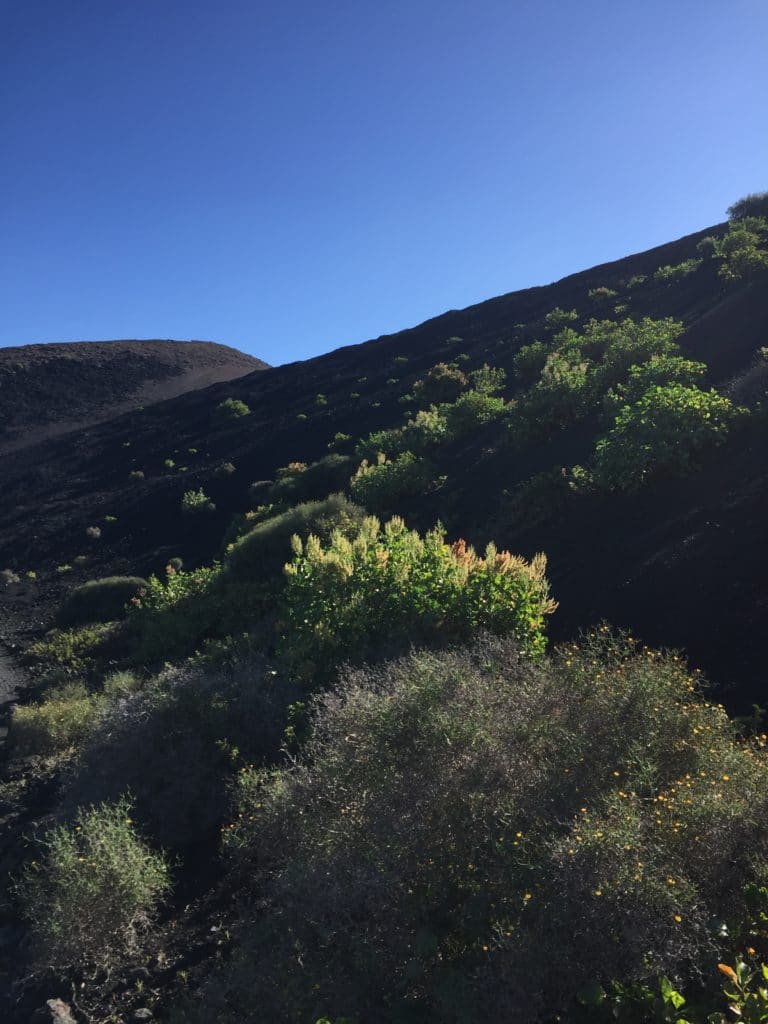 Lanzarote mit Kindern - mit dem Mietwagen mitten durch Vulkanlandschaften Vulkan El Cuervo - Lanzarote