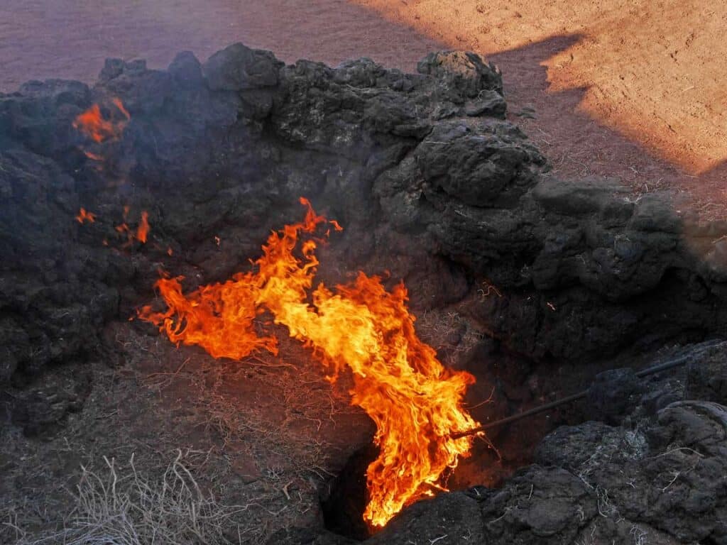 brennender busch nationalpark timanfaya 13 highlights lanzarote mit kindern