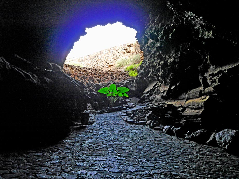 cueva-de-los-verdes-sehenswuerdigkeiten-lanzarote-mit-kindern