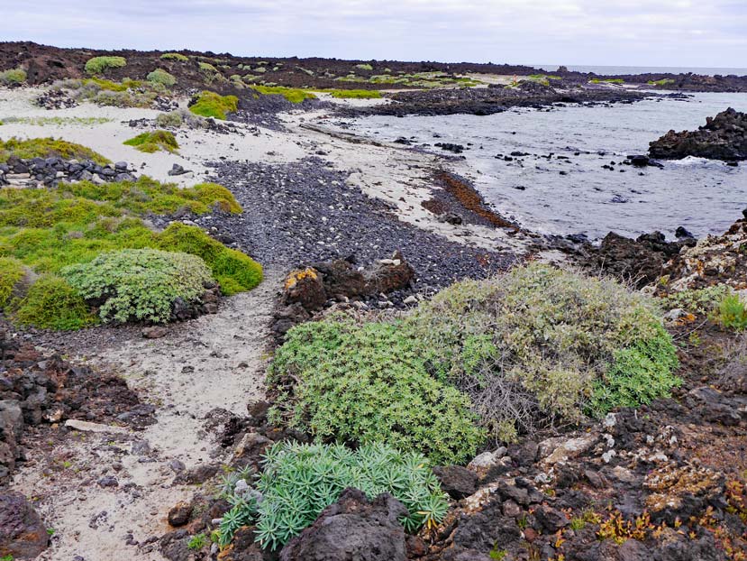 straende-nord-lanzarote-mit-dem-mietwagen