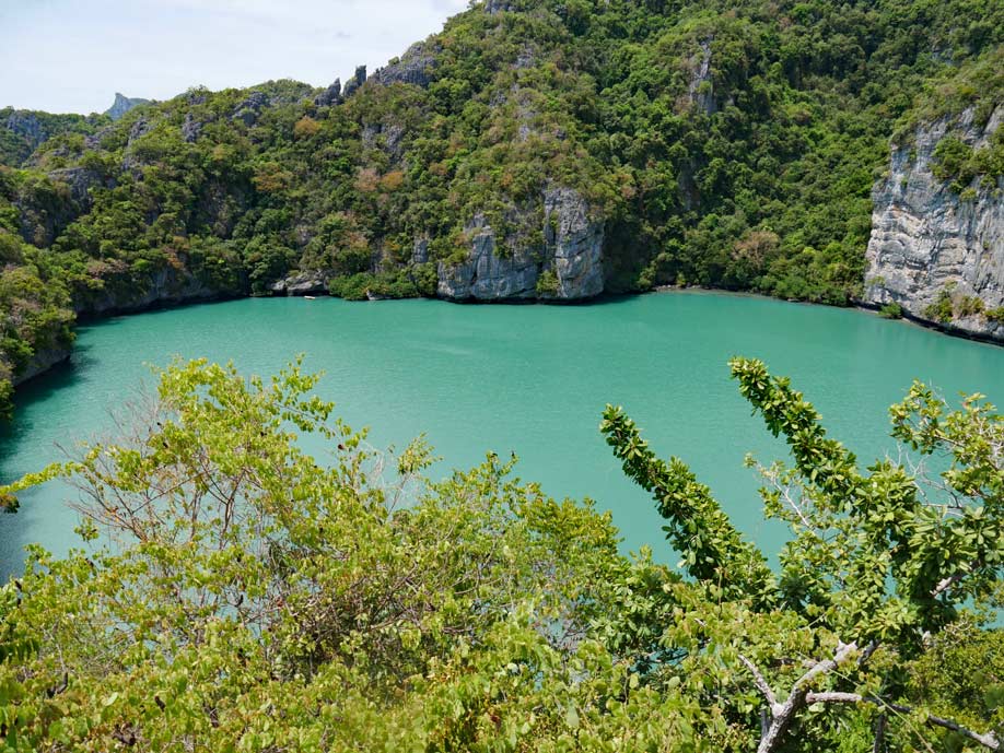 Koh Samui mit Kindern emerald-lake_nationalpark_mu-ko-ang_thong-ausflug-koh-samui-mit-kindern