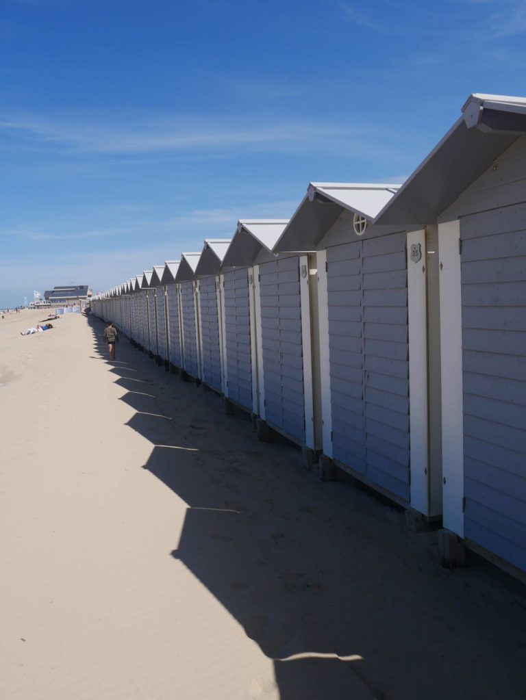 NordHolland entdecken mit Kindern Tipps für Familien