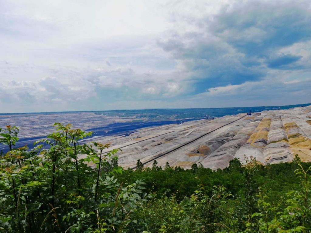 hambacher_forst_mit_kindern-homeschooling-freilernen