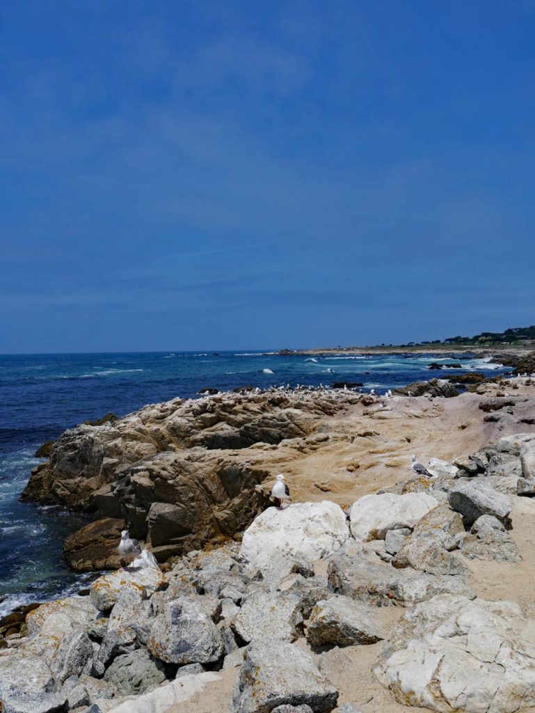 17-mile-drive-pebblebeach-highway-1-mit-kindern