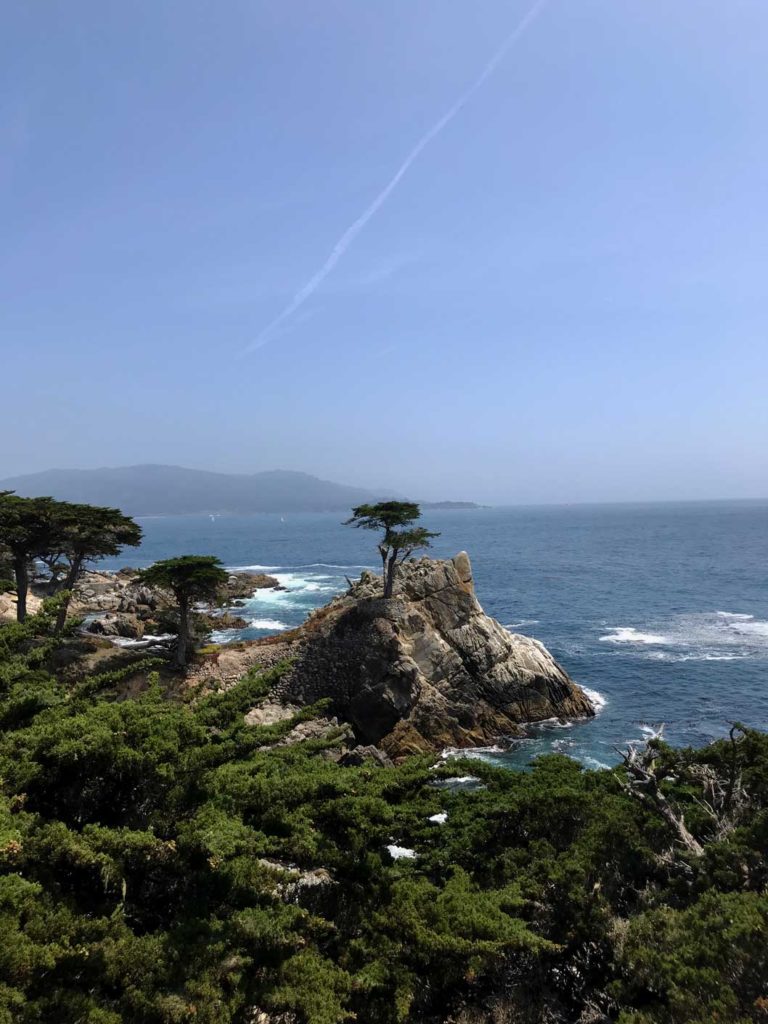 Roadtrip Kalifornien mit Kindern - unsere Highlights und Tipps 17-mile-drive-the-lone-cypress-highway-1-mit-kindern