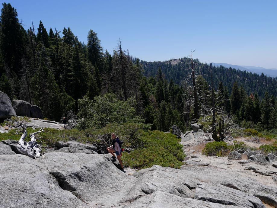 Sequoia Nationalpark mit Kindern beetle rock sequoia nationalpark mit kindern