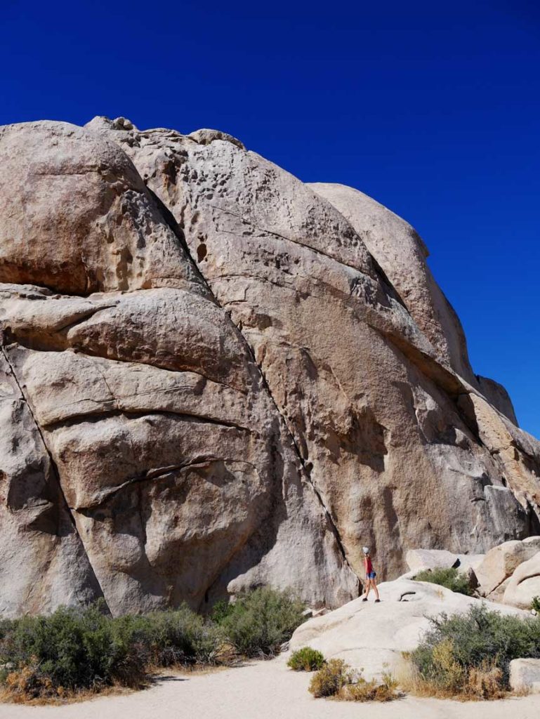 Joshua Tree Nationalpark: Urlaub in atemberaubender Umgebung nationalparks-der-usa-mit-kindern-joshua-tree-kalifornien