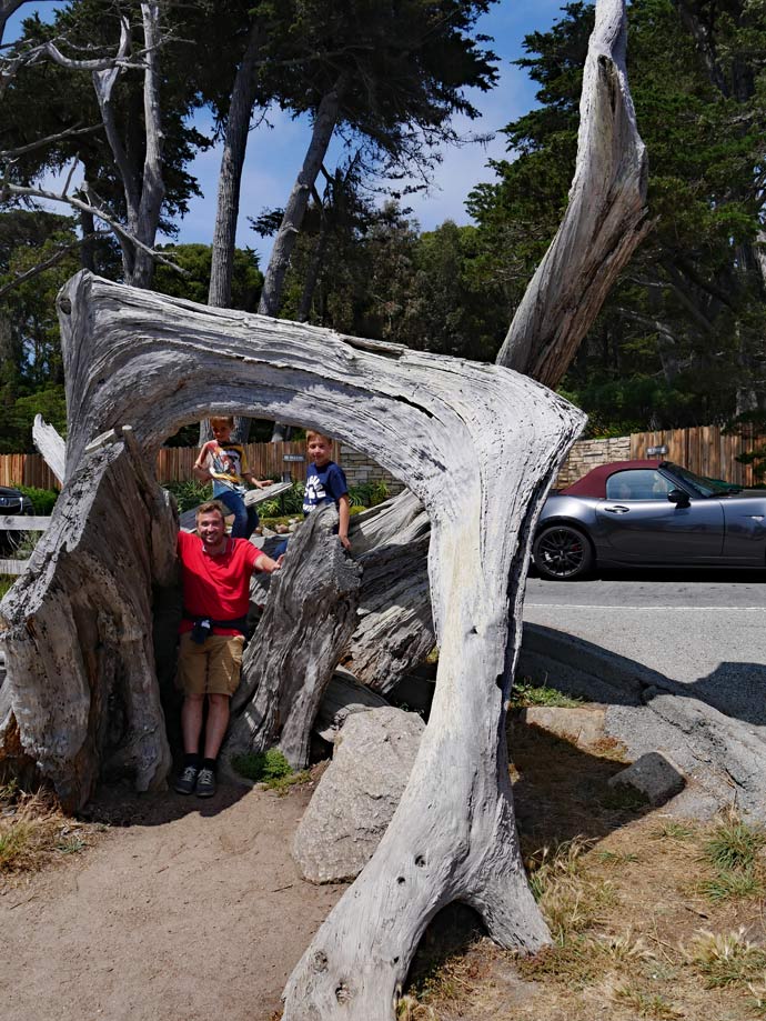 ghost trees 17 mile drive highway 1 mit kindern