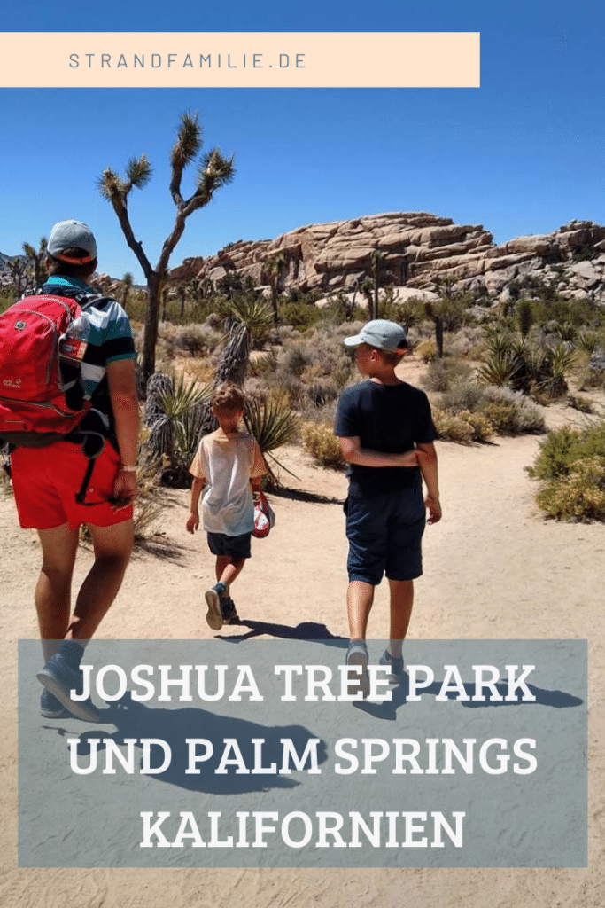 Palm Springs und Joshua Tree Nationalpark joshua tree