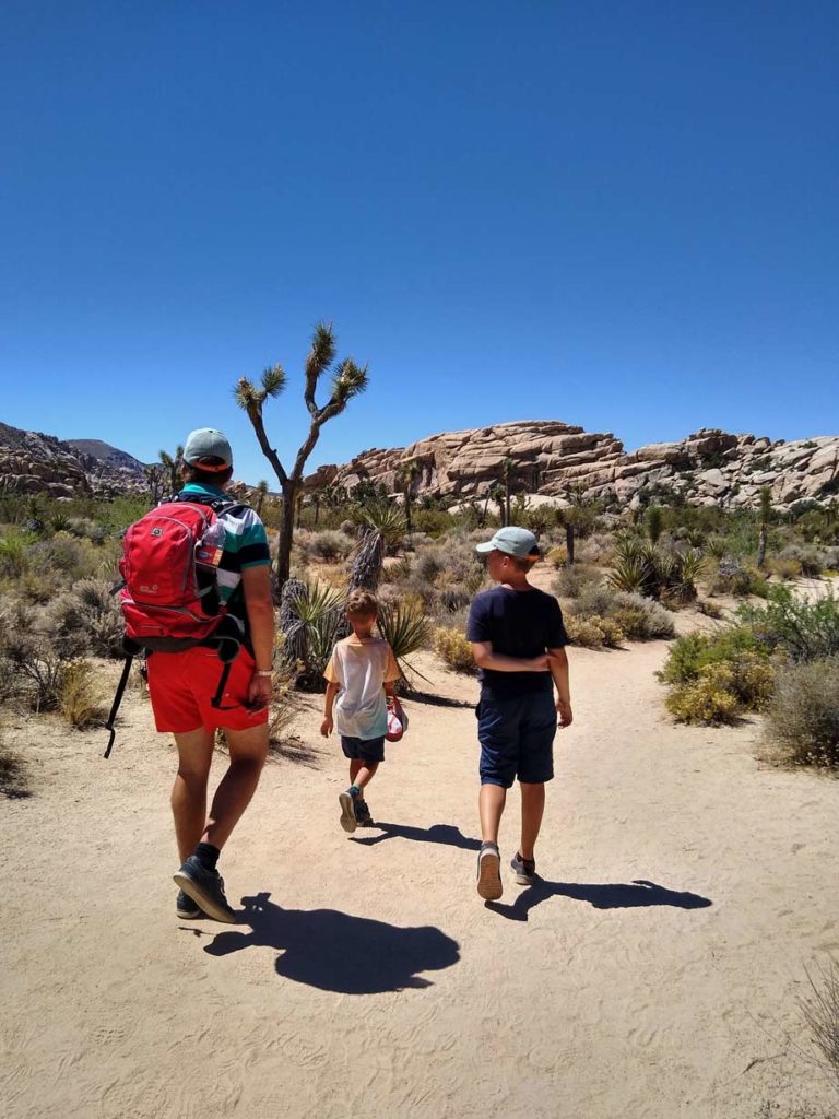 familie-laeuft-durch-wueste-mit-joshua-tree-baeumen