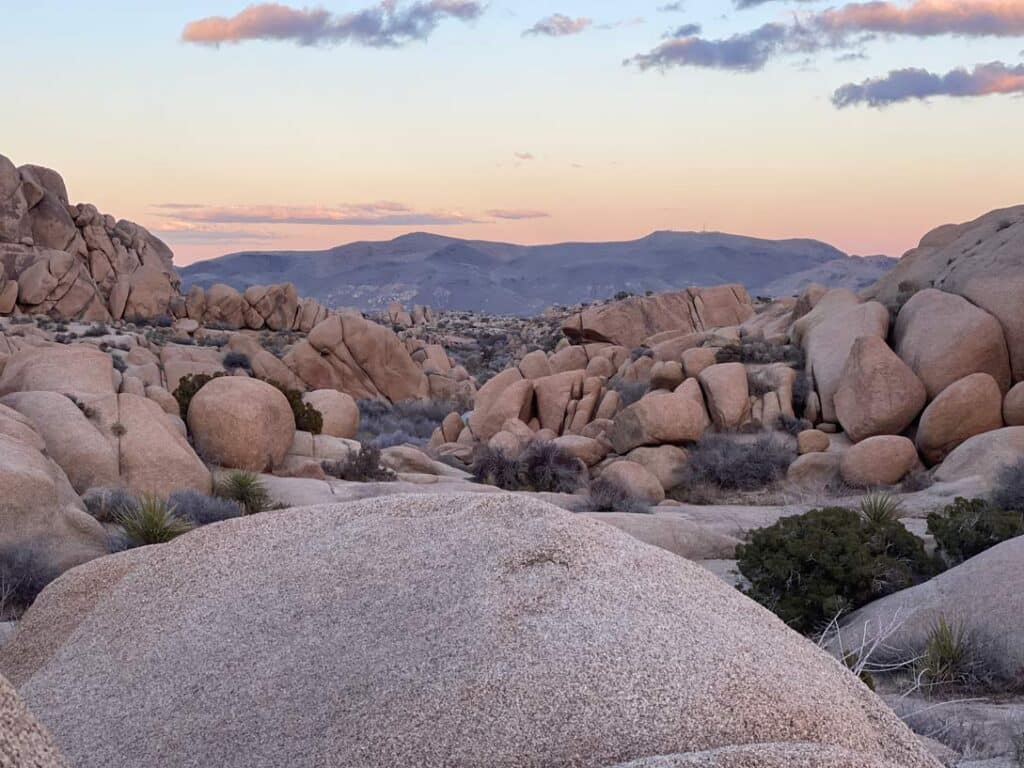 kalifornien rundreise 3 wochen joshua tree