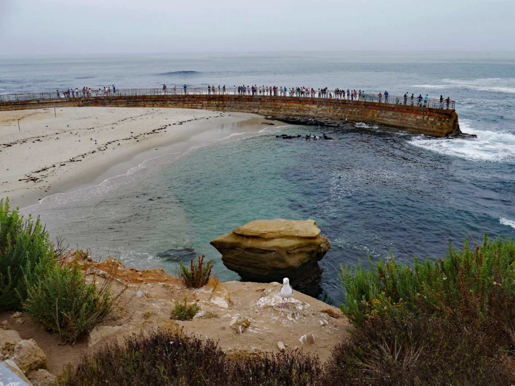 San Diego mit Kindern erleben la-jolla-aussichtsplattform-san-diego-sehenswuerdigkeiten-mit-kindern