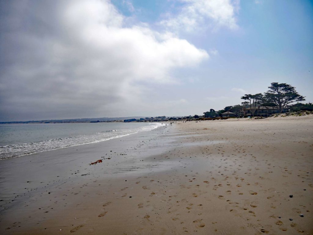 Highway 1 - Highlights auf der Traumstraße Kaliforniens monterey-strand-highway-no-1-mit-kindern-