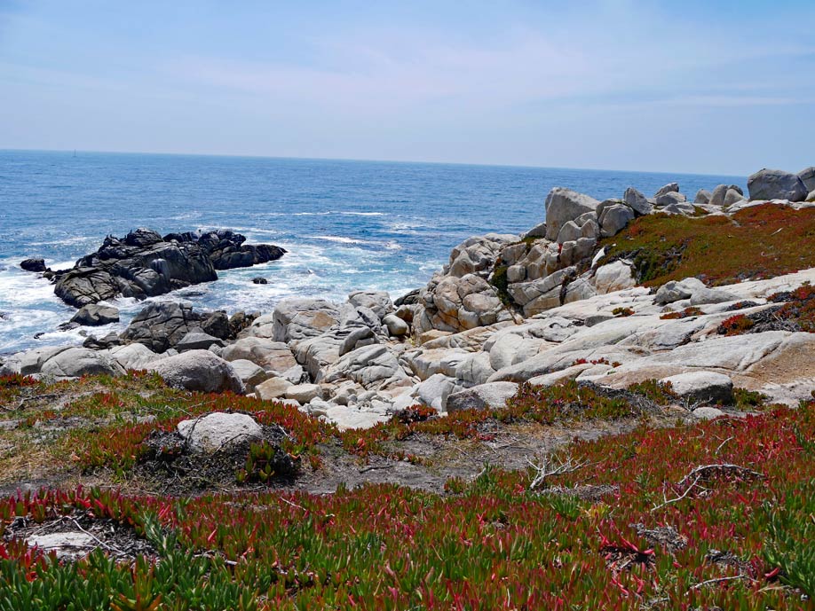 Highway 1 - Highlights auf der Traumstraße Kaliforniens pebble-beach-17-mile-drive-highway-1-sehenswuerdigkeiten