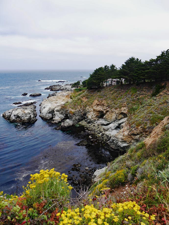 Highway 1 - Highlights auf der Traumstraße Kaliforniens roadtrip-kalifornien-usa-highway-1-sehenswuerdigkeiten