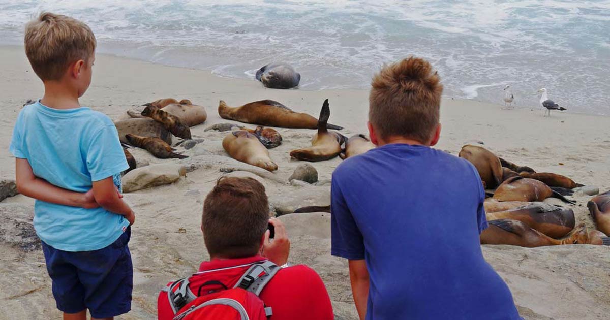 Du betrachtest gerade Sehenswürdigkeiten in San Diego mit Kindern erleben