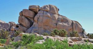 Read more about the article Palm Springs und Joshua Tree Nationalpark