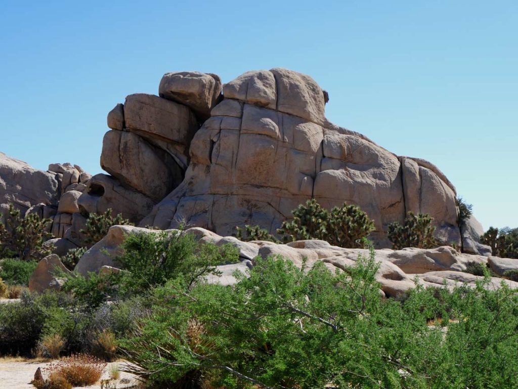 Joshua Tree Nationalpark: Urlaub in atemberaubender Umgebung schildkroetenfelsen-turtlerock-josuha-tree-palm-springs-mit-kindern