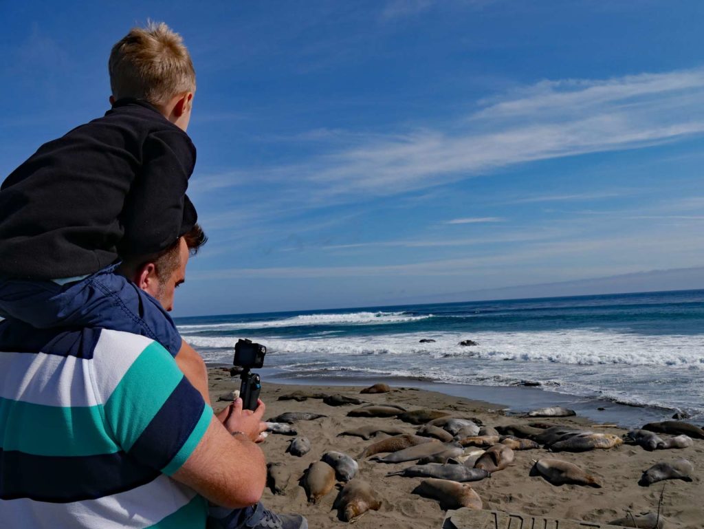 Highway 1 - Highlights auf der Traumstraße Kaliforniens see elefanten san simeon highway 1 mit kindern