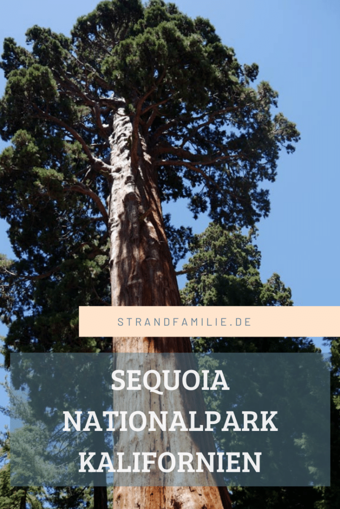 sequoia-nationalparks-usa-mit-kindern