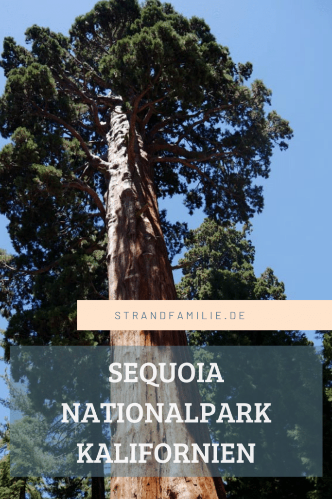Sequoia Nationalpark mit Kindern sequoia-nationalparks-usa-mit-kindern