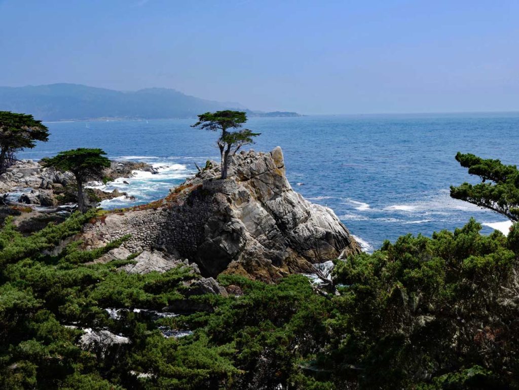 Highway 1 - Highlights auf der Traumstraße Kaliforniens the-lone-cypress-highway1-mit-kindern