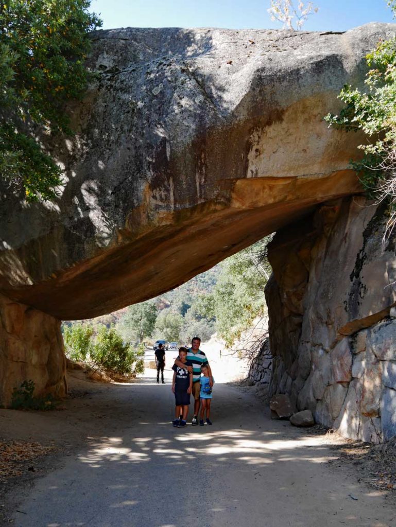 Sequoia Nationalpark mit Kindern tunnel rock sequoia nationalpark mit kindern
