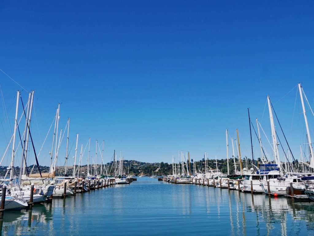 blick-ueber-den-hafen-in-sausalito-an-beiden-seiten-lange-reihen-von-segelbooten