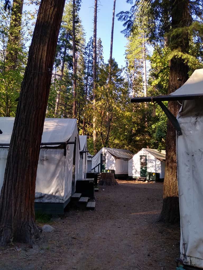 half-dome-village-yosemite-park-mit-kindern