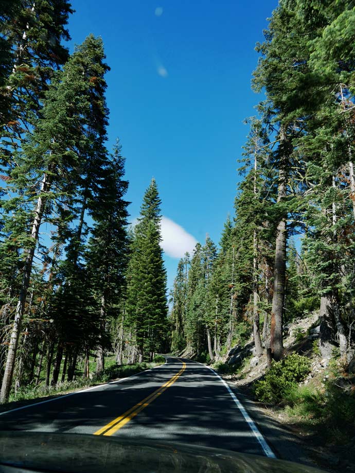 roadtrip kalifornien yosemite mit kindern