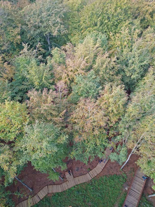 aussichtsturm-treetop-waldturm-ronnede-daenamark-mit-kindern