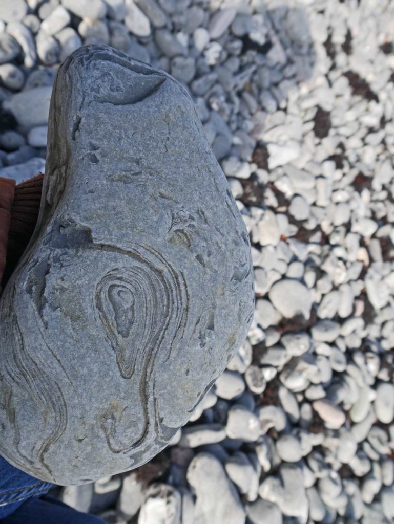 fossiliensuche-mons-klint-mon-mit-kindern