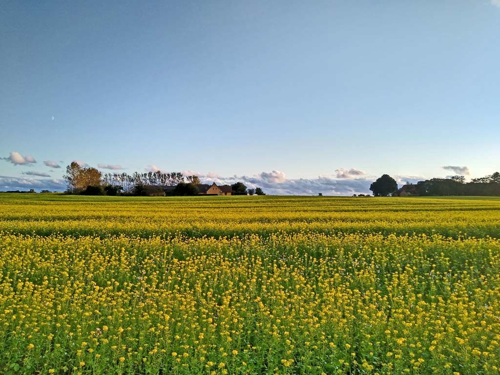 natur-landwirtschaft-familienurlaub-mon-mit-kindern