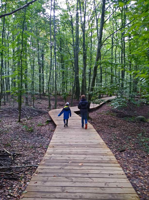 waldweg-camp-adventure-ausflugsziele-daenemark-mit-kindern