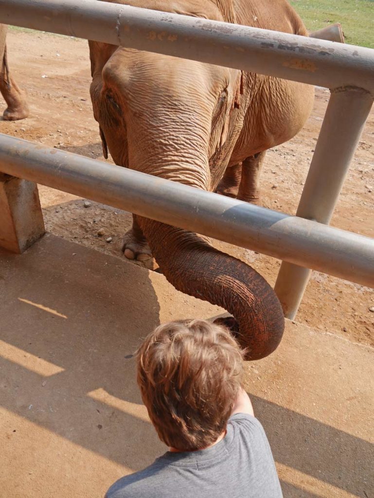 elefantencamp-chiang-mai-mit-kindern