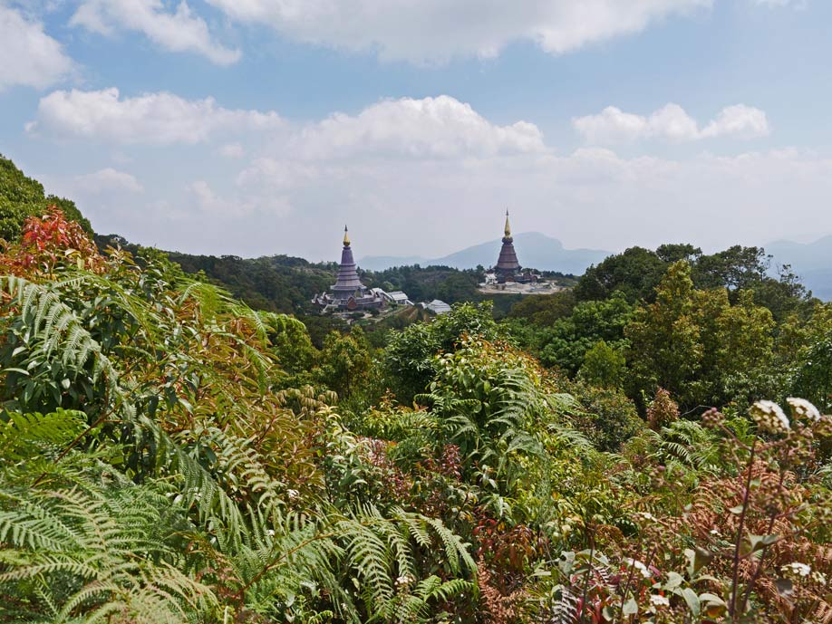 Chiang Mai und Chiang Rai mit Kindern kaew mae nature trail doi inthanon mit kindern