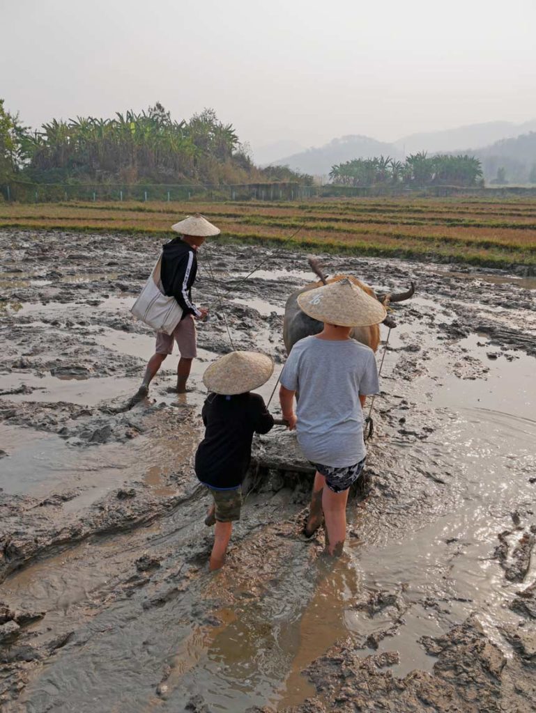 laos-weltreise-mit-kindern