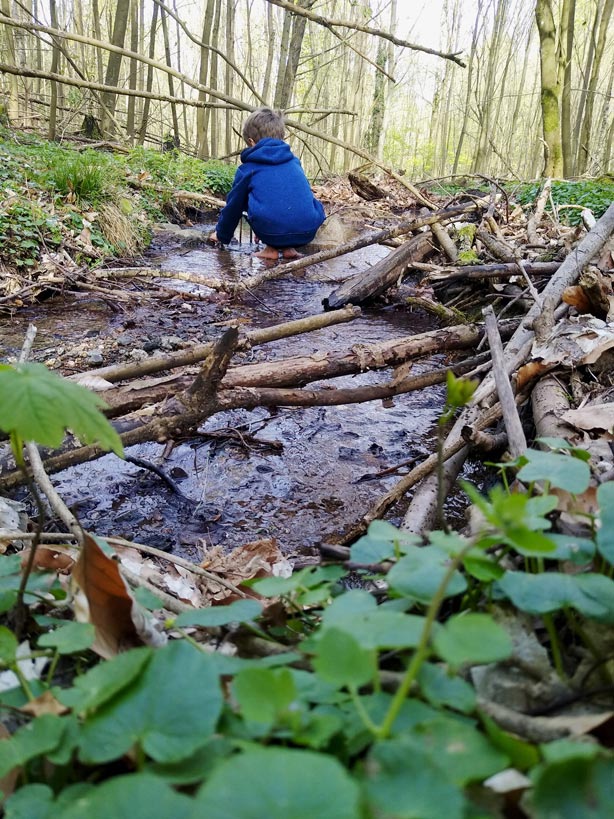 lernen-in-der-natur-freilernen-unsere-weltreise-pause