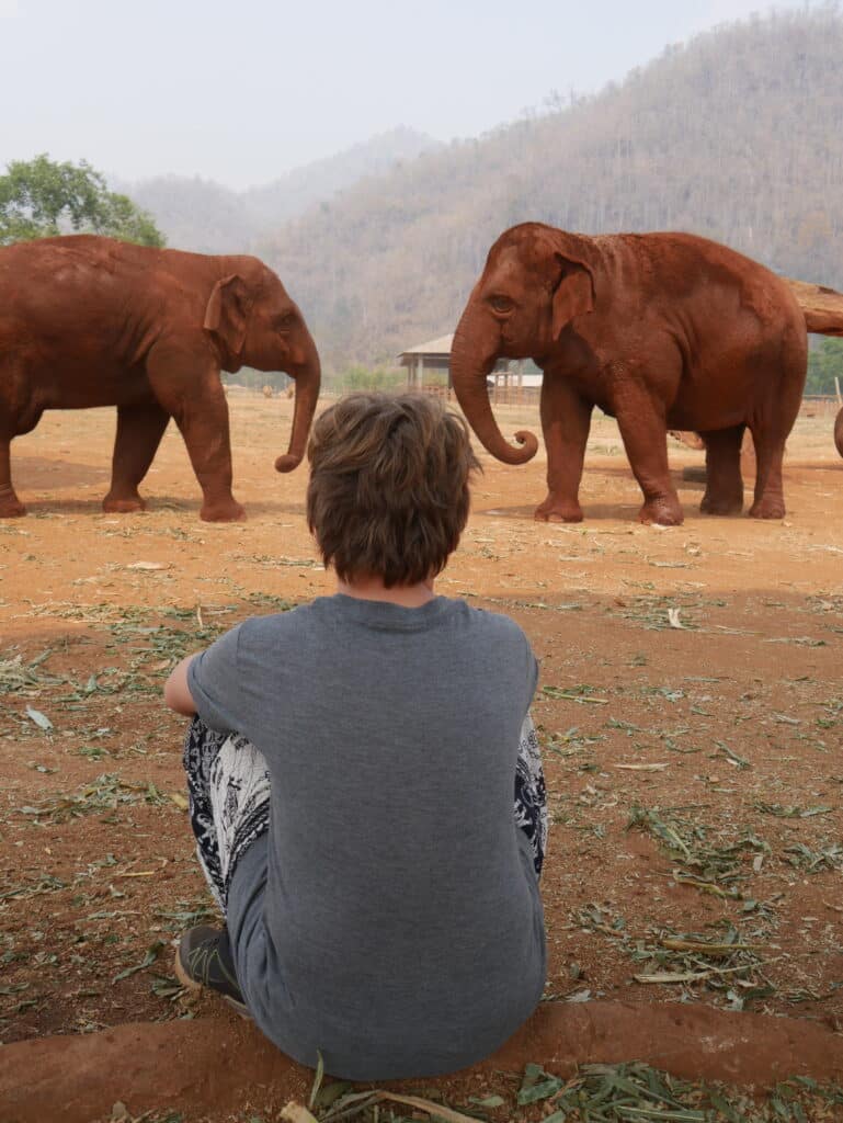 Unvergessliche Nordthailand Rundreise: Highlights auf der Zugreise von Bangkok nach Chiang Mai kind-beobachtet-zwei-elefanten-rundreise-norden-thailand-mit-kindern